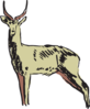 Green Antelope Drawing Clip Art